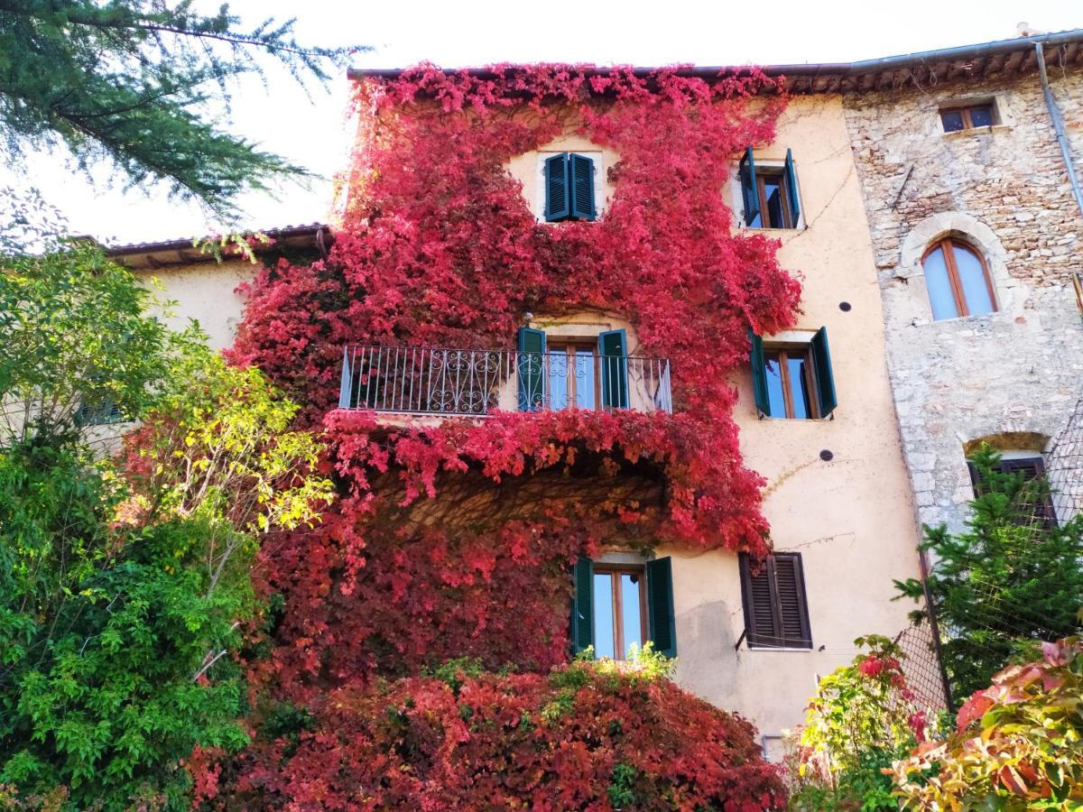 La Torre Del Cerreto Villa Cerreto di Spoleto Exteriör bild